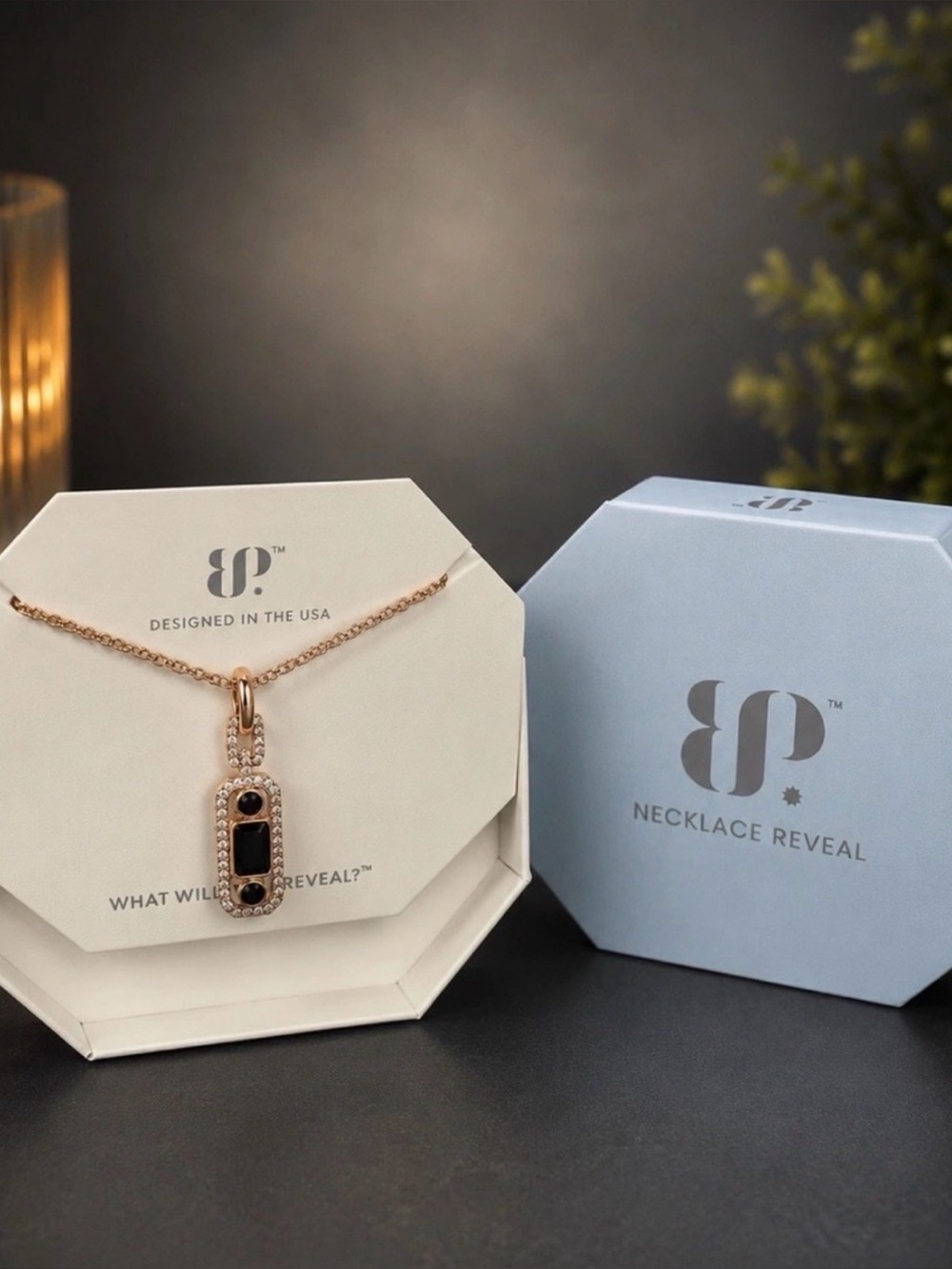 Rose Gold and Black Onyx Necklace